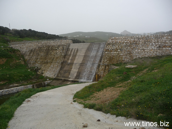 fragma_2010 011
